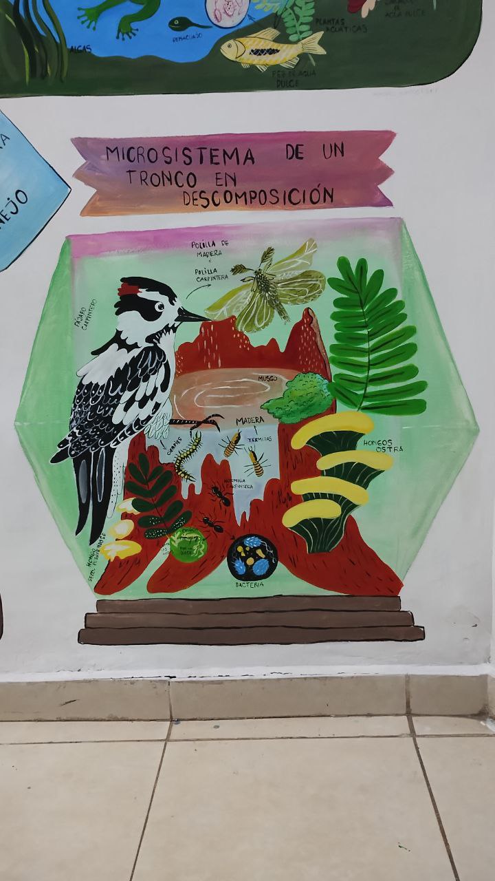 Instituto-Iñigo-Mural-3