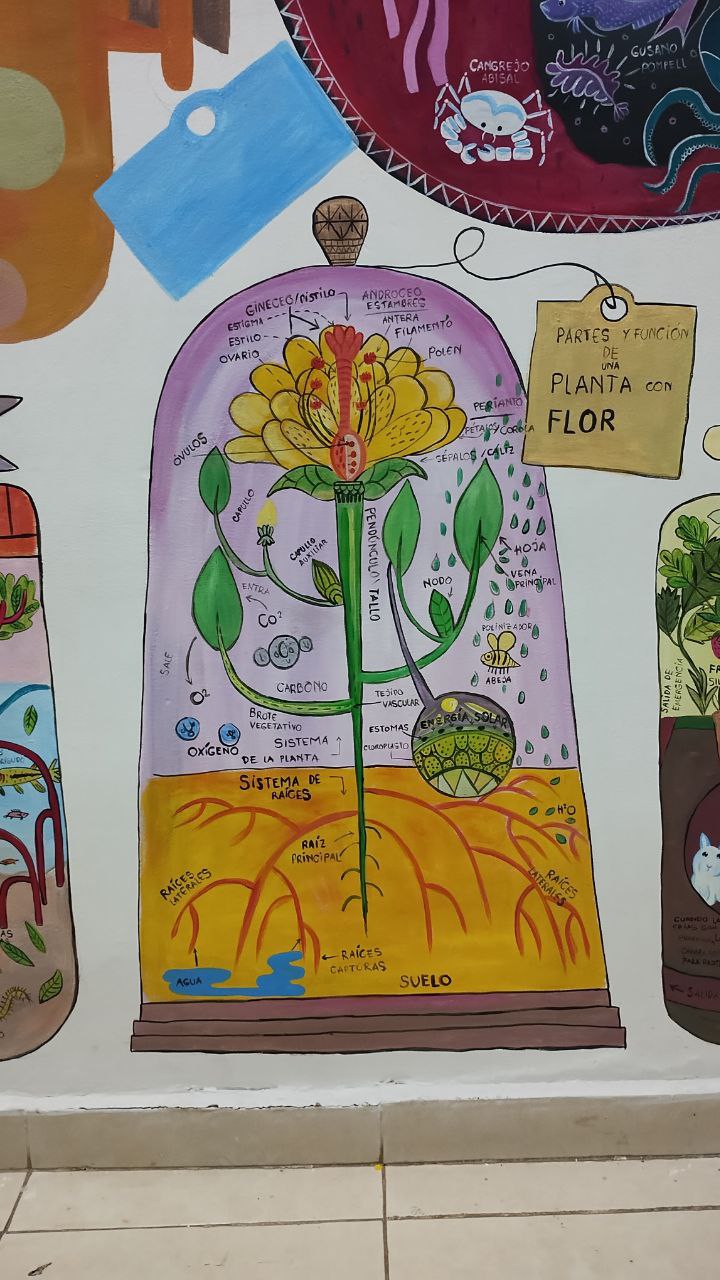 Instituto-Iñigo-Mural-5